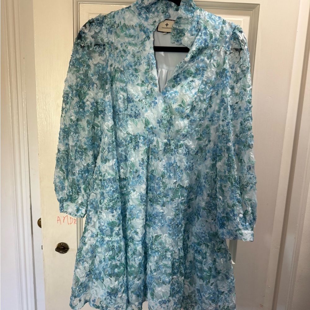 Tuckernuck Blue Floral Long Sleeve Dress